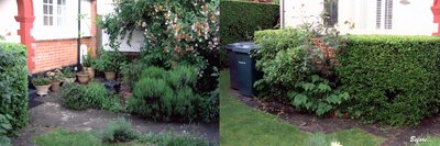 34WR front garden before